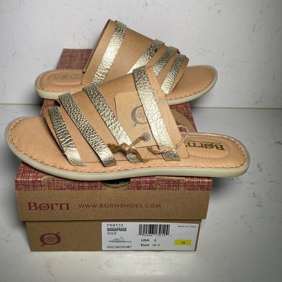 Born SASSAFRASS - Picture 2 of 5